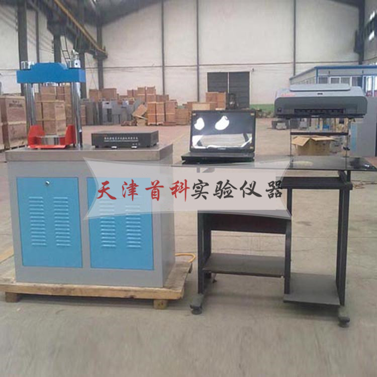 全自動(dòng)電腦恒應(yīng)力壓力試驗(yàn)機(jī)DYE-300S